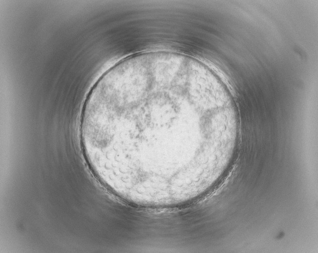 X0000115580949200912221046