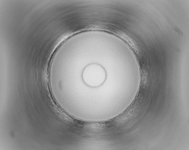 X0000115580950200912221046