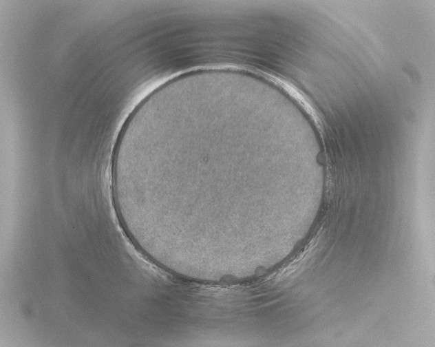 X0000115580951200912221046