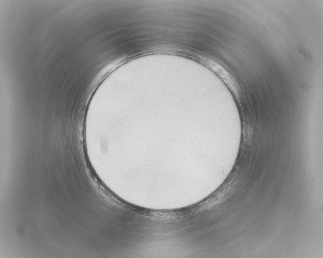 X0000115580954200912221046