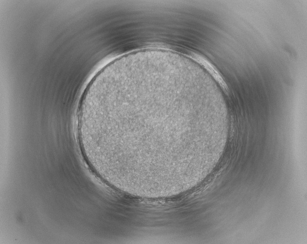 X0000115580955200912221046