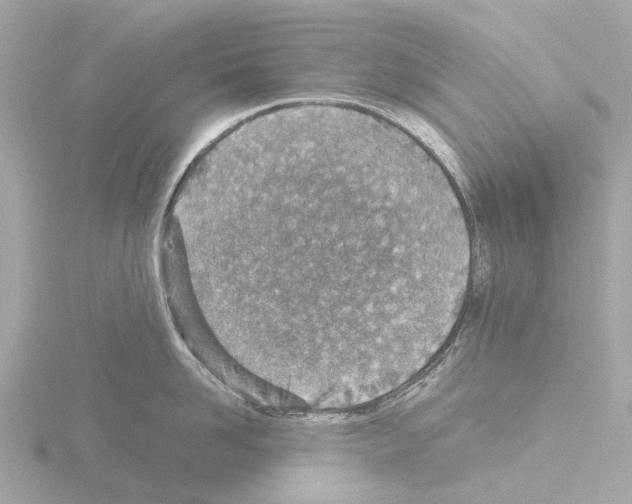 X0000115580958200912221046