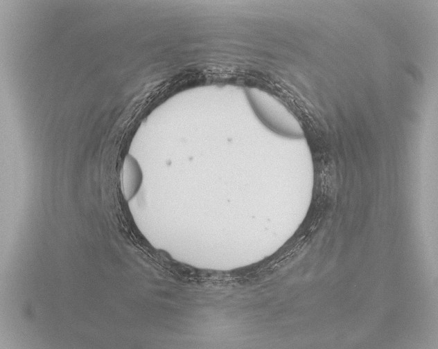 X0000115580961200912221046