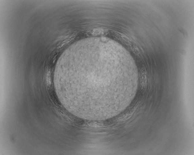 X0000115580962200912221046