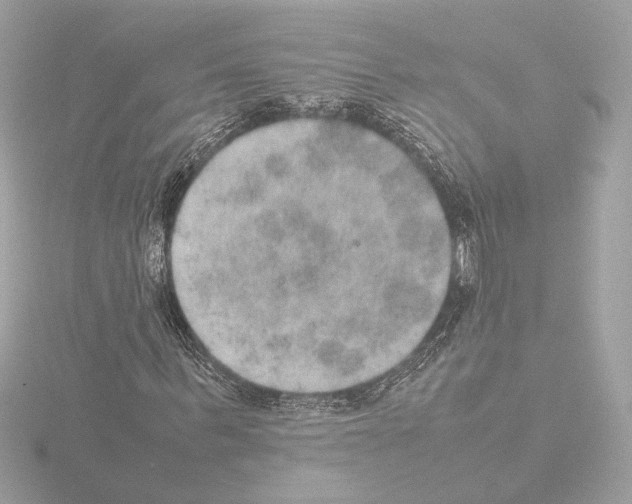 X0000115580963200912221046