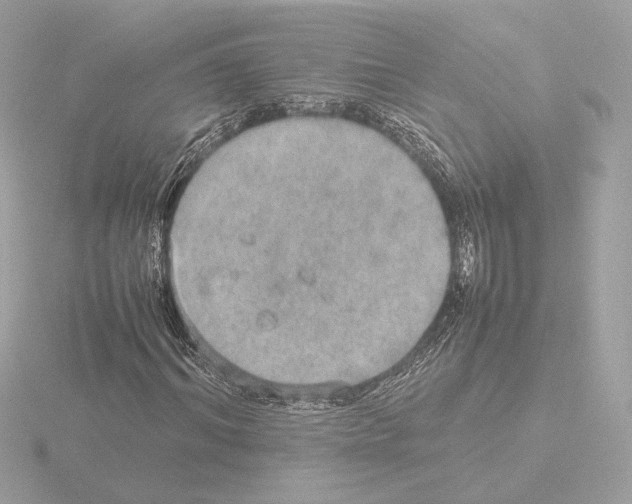 X0000115580964200912221046