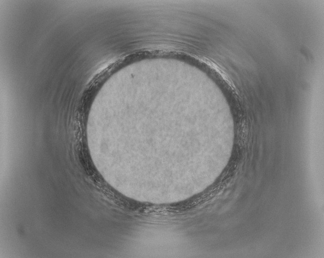 X0000115580967200912221046