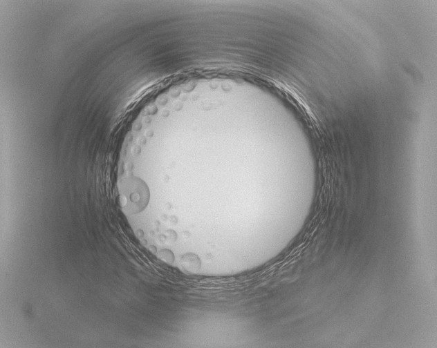 X0000115580968200912221046