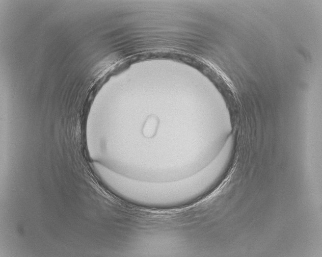 X0000115580969200912221046