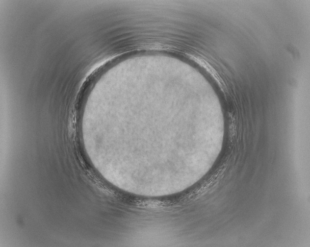 X0000115580971200912221045