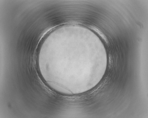 X0000115580972200912221045