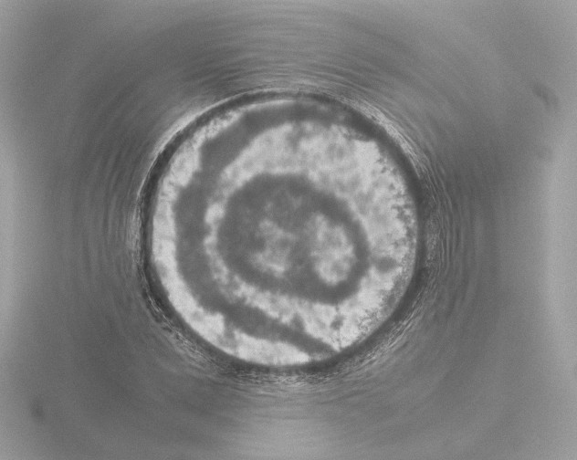 X0000115580975200912221045