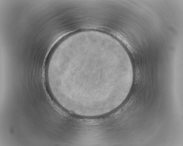 X0000115580976200912221045