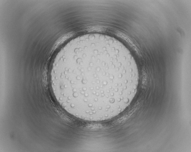 X0000115580978200912221045