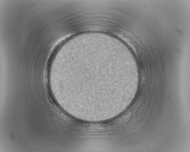 X0000115580979200912221045