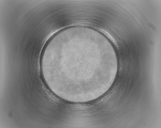 X0000115580980200912221045