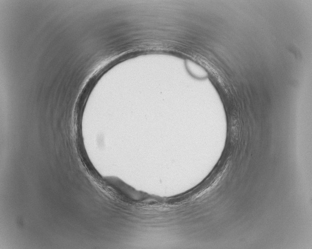 X0000115580981200912221045