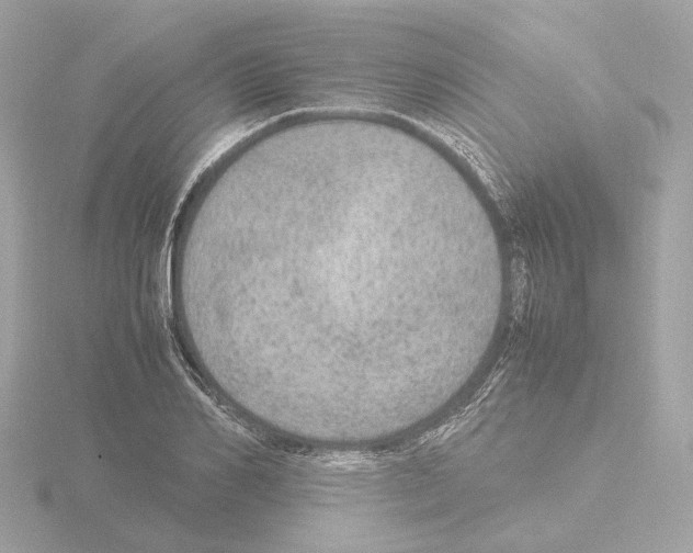 X0000115580982200912221045