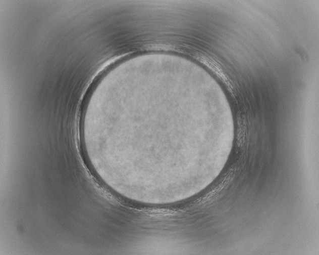 X0000115580984200912221045