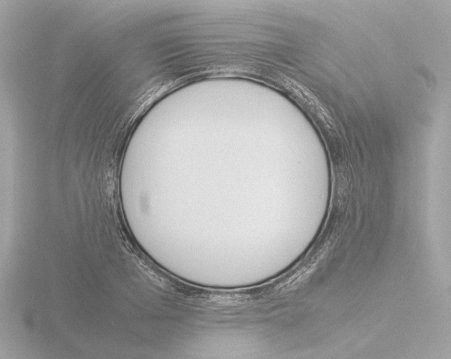 X0000115580985200912221045