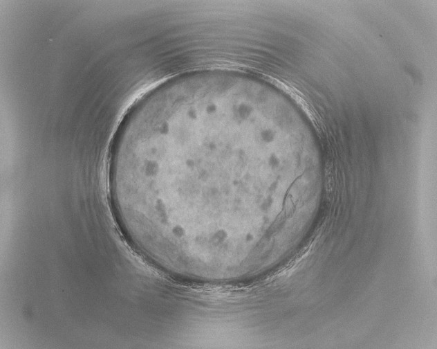 X0000115580987200912221045