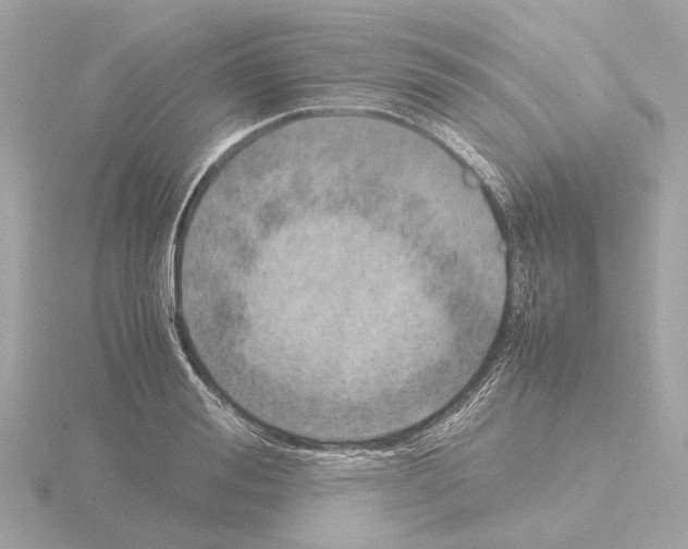 X0000115580988200912221045