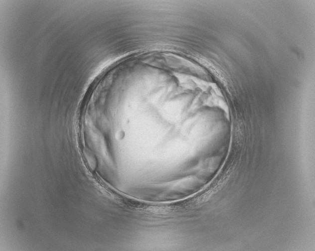 X0000115580989200912221045