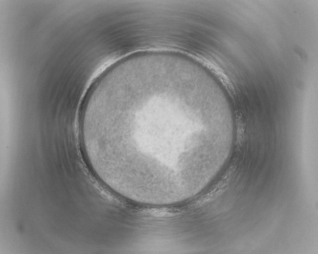 X0000115580990200912221045