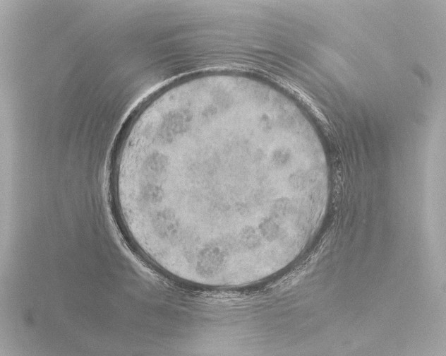 X0000115580991200912221045