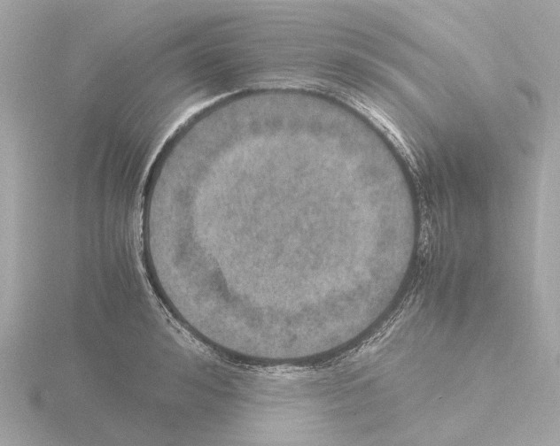 X0000115580992200912221045