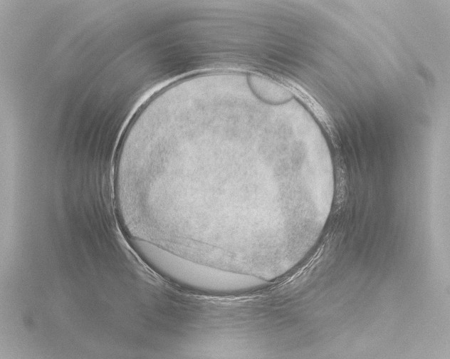 X0000115580996200912221045