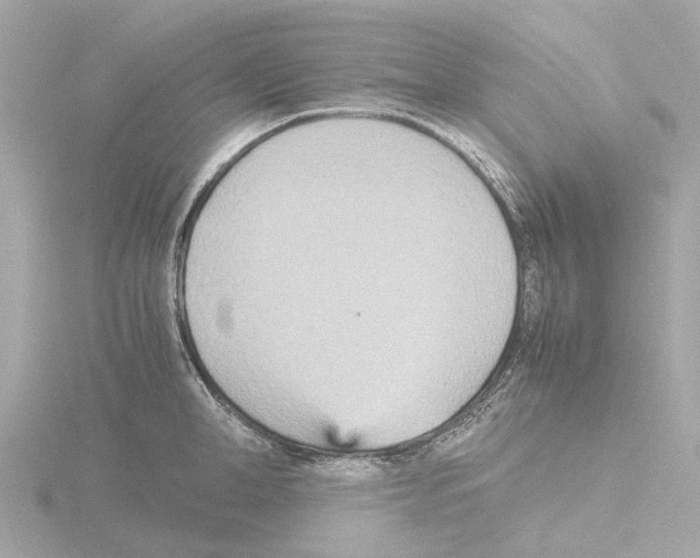 X0000115580998200912221045