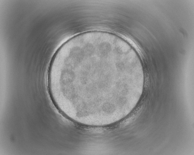 X0000115580999200912221045