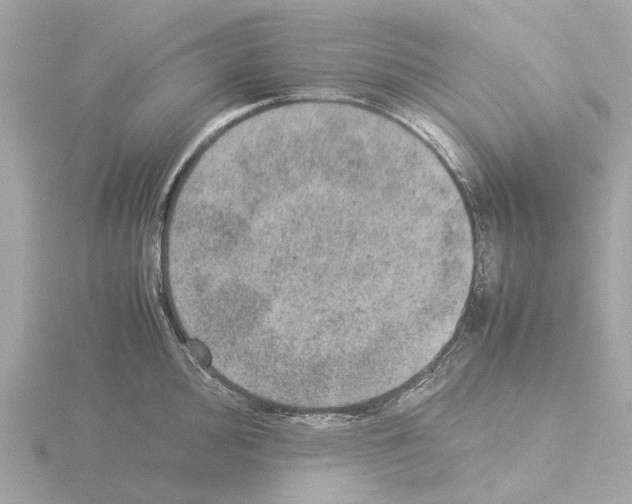 X0000115581000200912221045