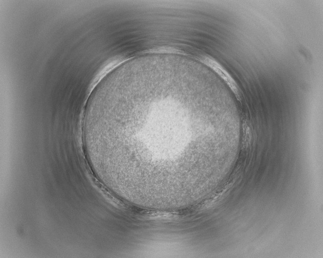 X0000115581002200912221045