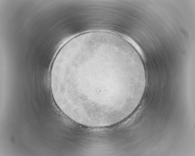 X0000115581004200912221045