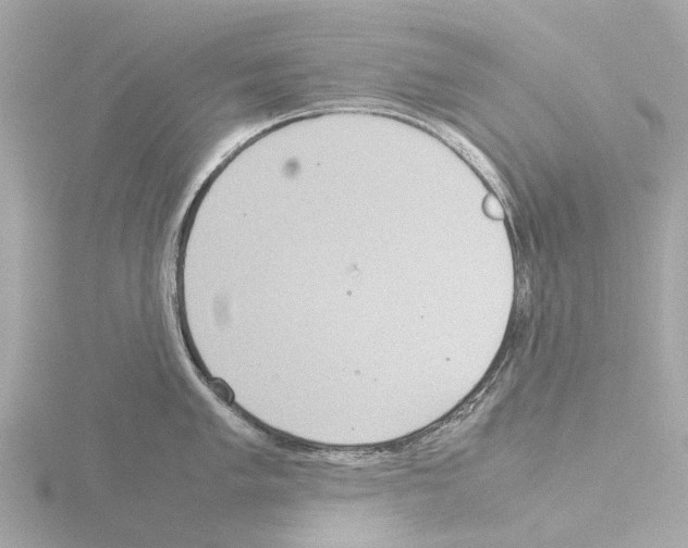 X0000115581005200912221045