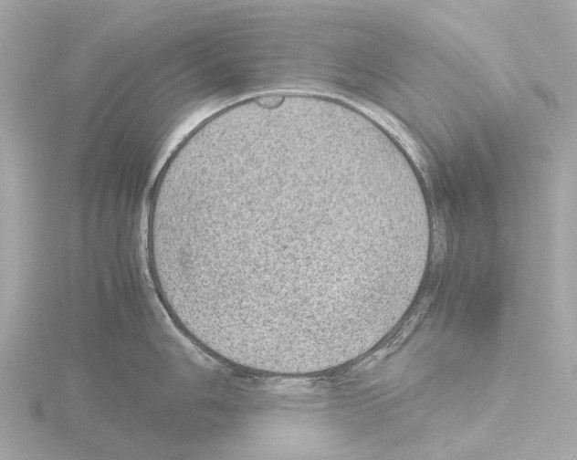 X0000115581006200912221045