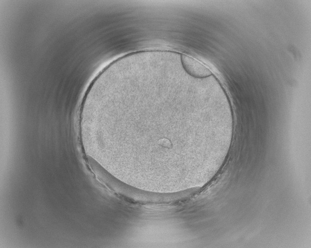 X0000115581008200912221045