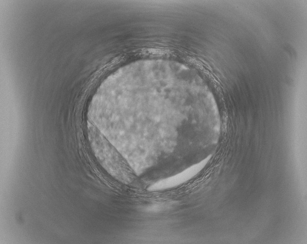 X0000115581009200912221044