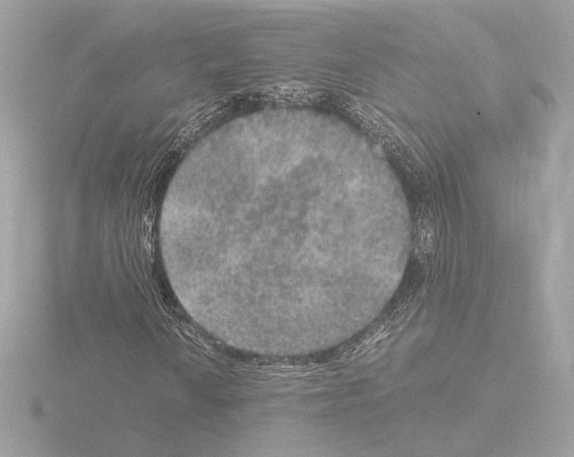 X0000115581010200912221044