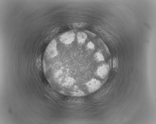 X0000115581011200912221044