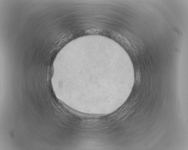 X0000115581012200912221044