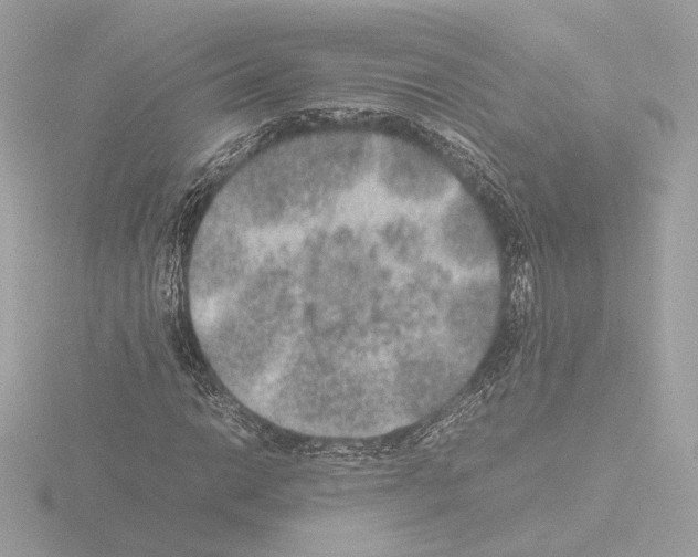 X0000115581014200912221044