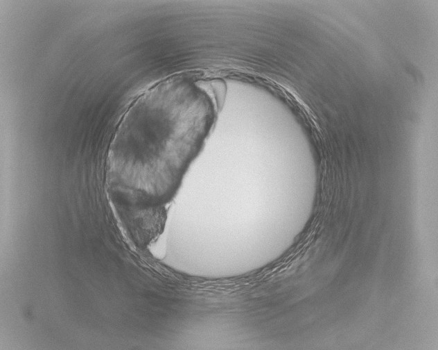 X0000115581016200912221045