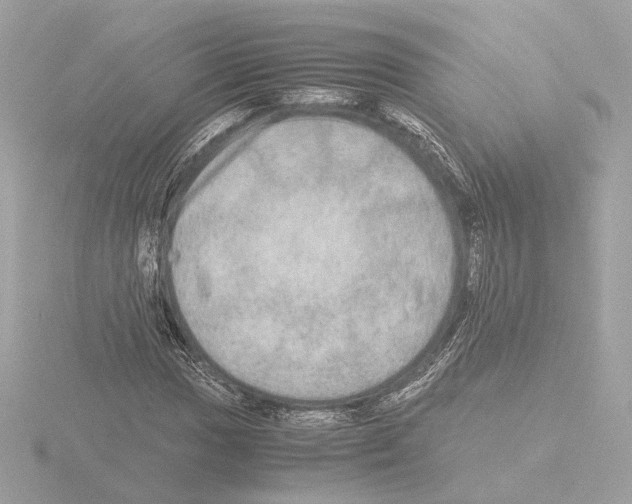 X0000115581017200912221045