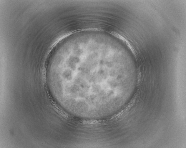 X0000115581019200912221045