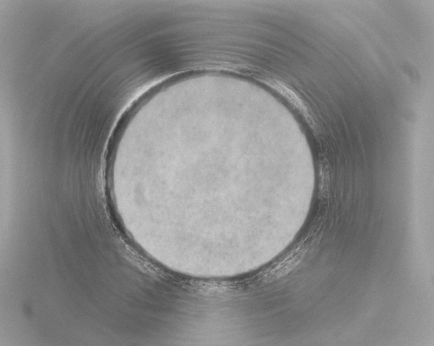 X0000115581020200912221045