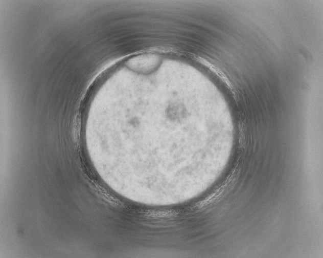 X0000115581021200912221045