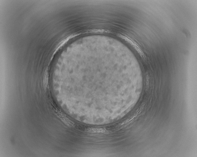 X0000115581023200912221045